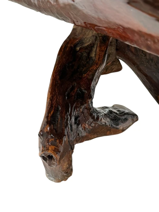 Organic Brutalist Large Tree Root Coffee Table, 1970s